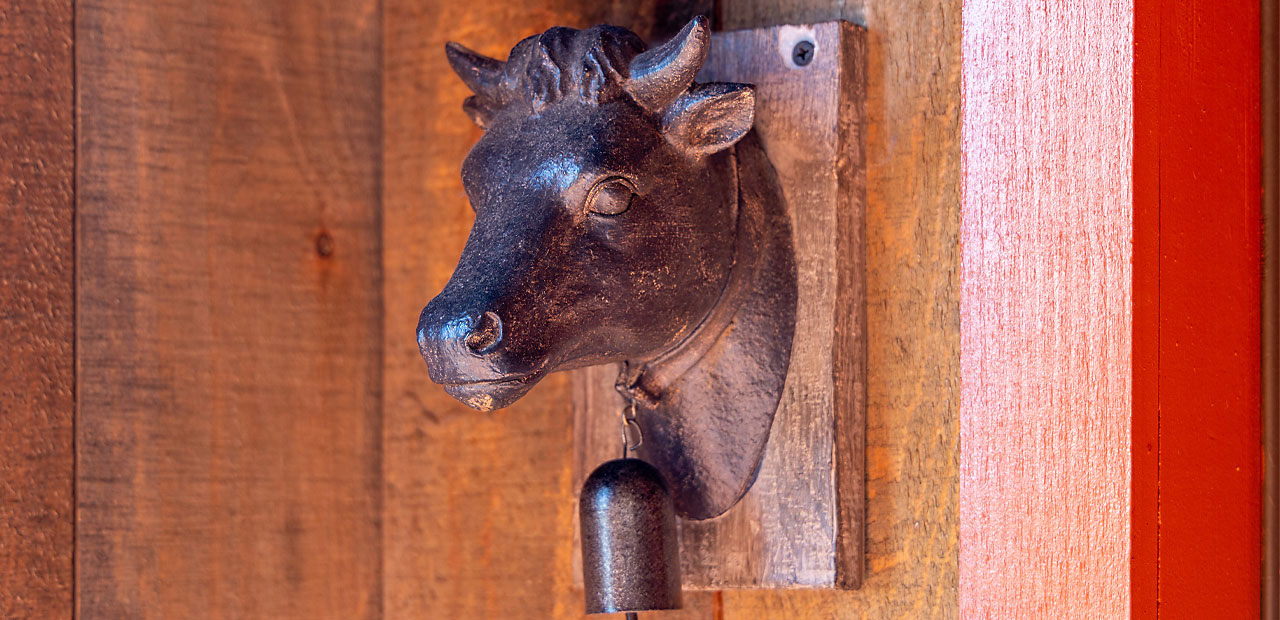 A metal cow head with bell attached to the wall